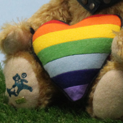 Regenbogen Br - fr Toleranz und Weltoffenheit 33 cm Teddybr