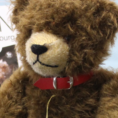 Teddy True Love der gro�e HERMANN Jahresb�r 1999 von Hermann-Coburg