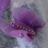 28. Festivalbär® 2019 zum 28. Puppenfestival 36 cm Teddybär von Hermann-Coburg 28. Festivalbär® 2019 zum 28. Puppenfestival 36 cm Teddybär von Hermann-Coburg