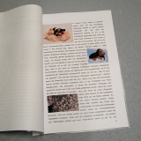 Teddy BimBamBum und seine Freunde (Geschichte) geheftete Blattsammlung Teddy BimBamBum und seine Freunde (Geschichte) geheftete Blattsammlung