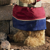 Joshua and the Battle of Jericho Teddybär von Hermann-Coburg Joshua and the Battle of Jericho Teddybär von Hermann-Coburg