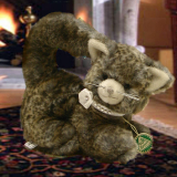 Little Princess Cat by Hermann-Coburg Little Princess Cat by Hermann-Coburg