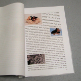 Teddy BimBamBum und seine Freunde (Geschichte) geheftete Blattsammlung Teddy BimBamBum und seine Freunde (Geschichte) geheftete Blattsammlung