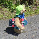 Skater Toni 32 cm Teddybär von Hermann-Coburg Skater Toni 32 cm Teddybär von Hermann-Coburg