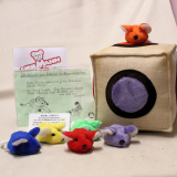 Kindergarten Wrfelspiel von Hermann-Coburg