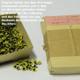 Lackösenaugen gelb, Glasaugen (aus dem Jahr 1970) Lackösenaugen gelb, Glasaugen (aus dem Jahr 1970)