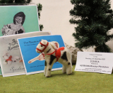 HERMANN Miniatur Pferdchen A 5. Tag von Hermann-Coburg HERMANN Miniatur Pferdchen A 5. Tag von Hermann-Coburg