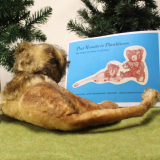 HERMANN „liegender Löwe“ A 12. Tag von Hermann-Coburg HERMANN „liegender Löwe“ A 12. Tag von Hermann-Coburg