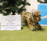 22 cm kleiner HERMANN laufender Leopard D 12. Tag von Hermann-Coburg 22 cm kleiner HERMANN laufender Leopard D 12. Tag von Hermann-Coburg