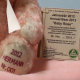 Baby Rose der HERMANN Jahresb�r 2012 #001 von Hermann-Coburg