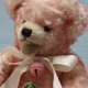 Baby Rose der HERMANN Jahresb�r 2012 #001 von Hermann-Coburg