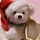 HERMANN Weihnachtsbr 2022 36 cm Teddybr von Hermann-Coburg