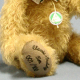 Classic-Teddy Tim Teddy Bear by Hermann-Coburg