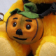 Sweet Halloween Teddy 2024 Ein Krbis-Kind zum Schmusen 29 cm Teddybr von Hermann-Coburg