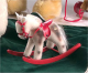 Miniatur Schaukelpferd Teddy Bear by Hermann-Coburg***
