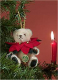 Poinsettia Teddy Bear by Hermann-Coburg***