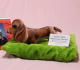 Pl�schhund Dackel von Hermann-Coburg