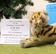 22 cm kleiner HERMANN liegender Tiger C 12. Tag von Hermann-Coburg