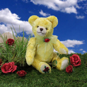 Für Dich soll’s rote Rosen regnen 23 cm Teddybär von Hermann-Coburg