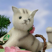 HERMANN Classsic Sweetie Cat von Hermann-Coburg
