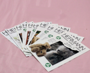 Wertvolles HERMANN Katalog-Set von Hermann-Coburg